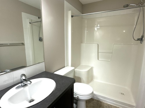 111 392 Silver Berry Road, Edmonton, AB - Indoor Photo Showing Bathroom