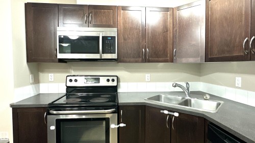 111 392 Silver Berry Road, Edmonton, AB - Indoor Photo Showing Kitchen With Double Sink