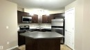 111 392 Silver Berry Road, Edmonton, AB  - Indoor Photo Showing Kitchen 