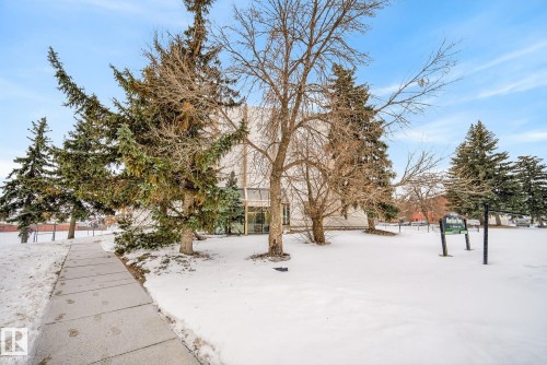 View of yard covered in snow - 302 4608 52 Avenue, Stony Plain, AB - Outdoor With View