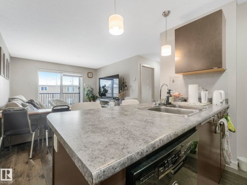 212 508 Albany Way, Edmonton, AB - Indoor Photo Showing Kitchen With Double Sink