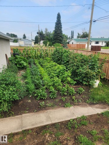 Fenced yard with a vegetable garden - 4505 57 Avenue, Barrhead, AB - Outdoor