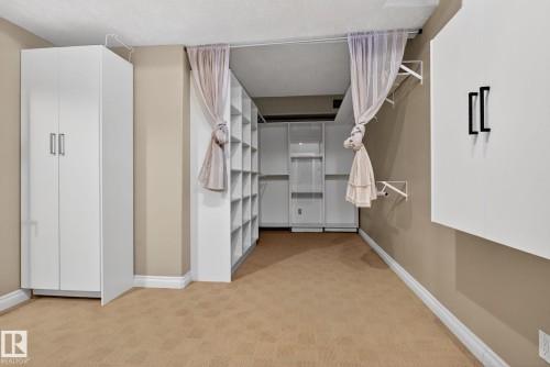 Walk in closet with light carpet - 613 Stewart Crescent, Edmonton, AB - Indoor Photo Showing Other Room
