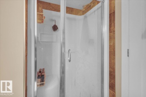 5029 Edgemont Boulevard, Edmonton, AB - Indoor Photo Showing Bathroom