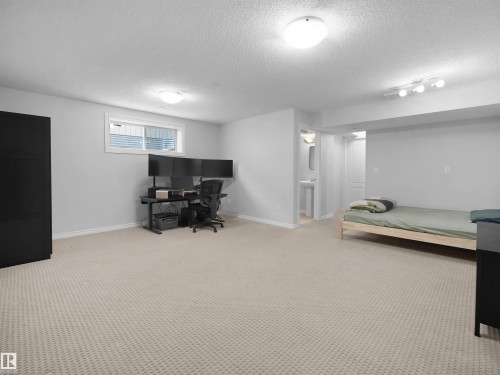 Basement featuring light colored carpet, a textured ceiling, and ensuite bathroom - 1716 64 Street, Edmonton, AB - Indoor