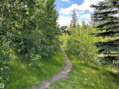 Nearby ravine trails off of Hector Road - 1526 Haswell Close, Edmonton, AB - Outdoor With View