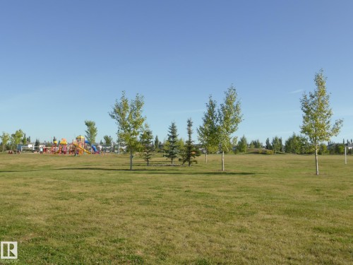 Lots of park space - 1526 Haswell Close, Edmonton, AB - Outdoor With View