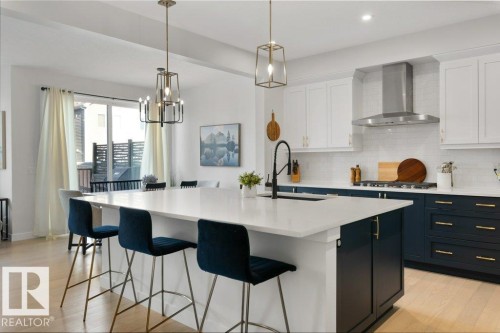 20876 131 Avenue, Edmonton, AB - Indoor Photo Showing Kitchen With Upgraded Kitchen