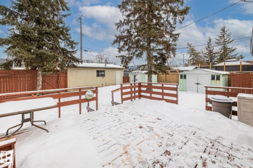 Fenced backyard featuring a shed and a deck - 10971 157 Street, Edmonton, AB - Outdoor