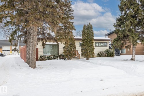View of property hidden behind natural elements - 10971 157 Street, Edmonton, AB - Outdoor