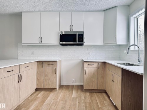 4843 115 Avenue, Edmonton, AB - Indoor Photo Showing Kitchen With Double Sink