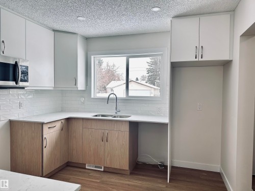 4843 115 Avenue, Edmonton, AB - Indoor Photo Showing Kitchen With Double Sink