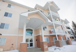 303 8119 112 Avenue  Edmonton, AB T5B 0G1