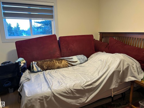 202 18020 95 Avenue, Edmonton, AB - Indoor Photo Showing Bedroom