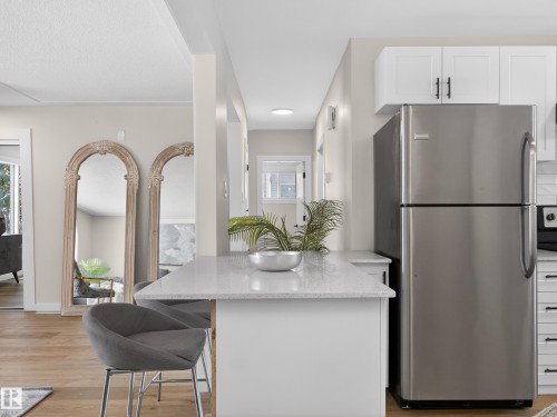 4841 114 Avenue, Edmonton, AB - Indoor Photo Showing Kitchen With Stainless Steel Kitchen With Upgraded Kitchen