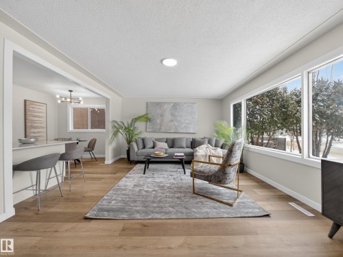 4841 114 Avenue, Edmonton, AB - Indoor Photo Showing Living Room