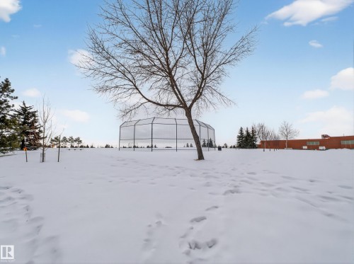 View of yard layered in snow - 4603 32 Avenue, Edmonton, AB - Outdoor With View