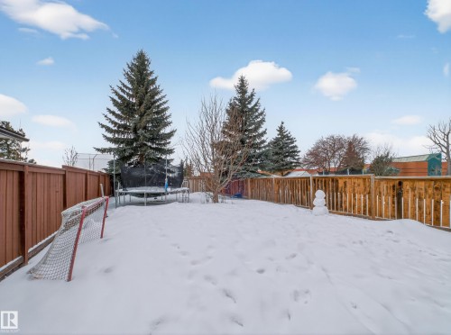 Snowy yard with a trampoline and a fenced backyard - 4603 32 Avenue, Edmonton, AB - Outdoor