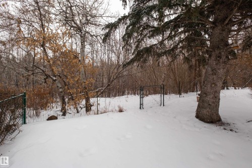 279 Westridge Road, Edmonton, AB - Outdoor