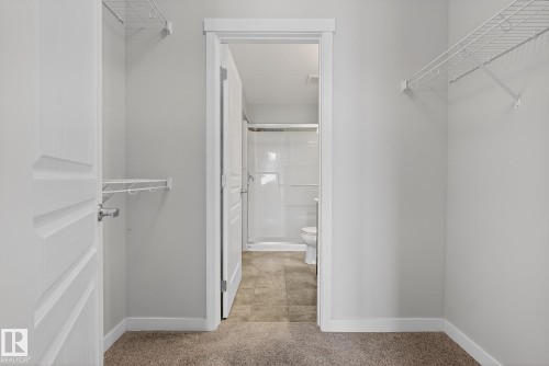 Walk in closet with light colored carpet - 206 812 Welsh Drive, Edmonton, AB - Indoor With Storage