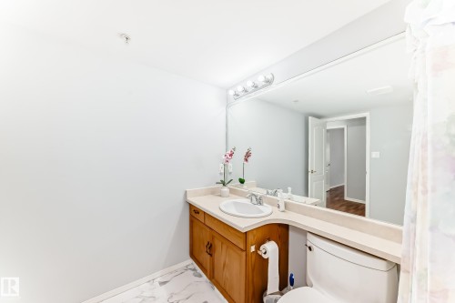 302 13450 114 Avenue, Edmonton, AB - Indoor Photo Showing Bathroom