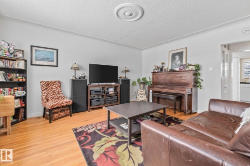 10649 64 Avenue, Edmonton, AB - Indoor Photo Showing Living Room