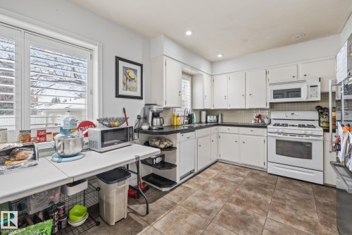 10649 64 Avenue, Edmonton, AB - Indoor Photo Showing Kitchen With Double Sink