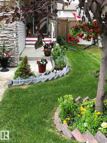 View of yard - 115 57 Street, Edmonton, AB - Outdoor