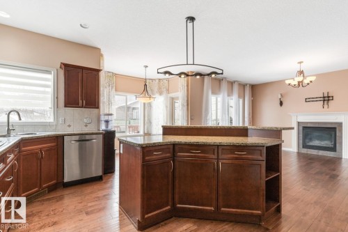 20515 91 Avenue, Edmonton, AB - Indoor Photo Showing Kitchen With Fireplace