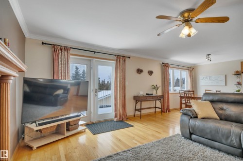 3948 62 Street, Edmonton, AB - Indoor Photo Showing Living Room