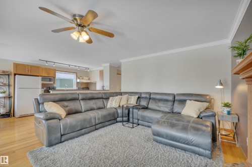 3948 62 Street, Edmonton, AB - Indoor Photo Showing Living Room
