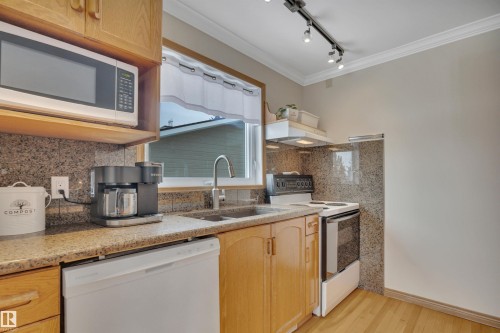 3948 62 Street, Edmonton, AB - Indoor Photo Showing Kitchen With Double Sink