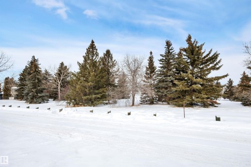 3948 62 Street, Edmonton, AB - Outdoor With View