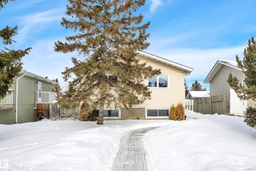 3948 62 Street, Edmonton, AB - Outdoor