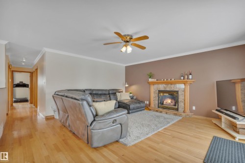 3948 62 Street, Edmonton, AB - Indoor Photo Showing Living Room With Fireplace