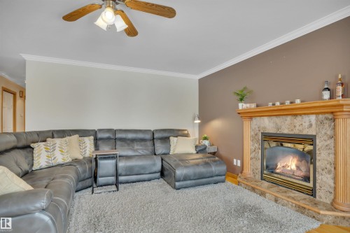 3948 62 Street, Edmonton, AB - Indoor Photo Showing Living Room With Fireplace