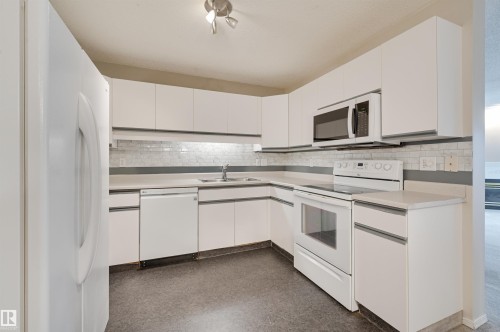 303 8811 106A Avenue, Edmonton, AB - Indoor Photo Showing Kitchen With Double Sink