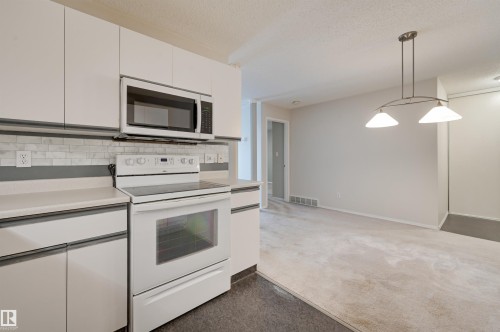 303 8811 106A Avenue, Edmonton, AB - Indoor Photo Showing Kitchen