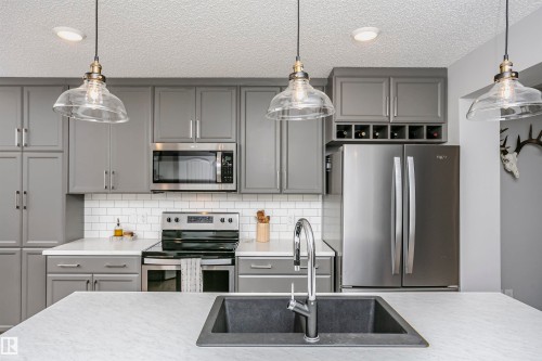 350 Desrochers Boulevard, Edmonton, AB - Indoor Photo Showing Kitchen With Stainless Steel Kitchen With Upgraded Kitchen