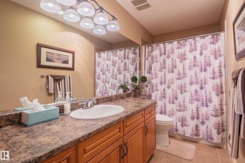 948 Hope Way, Edmonton, AB - Indoor Photo Showing Bathroom