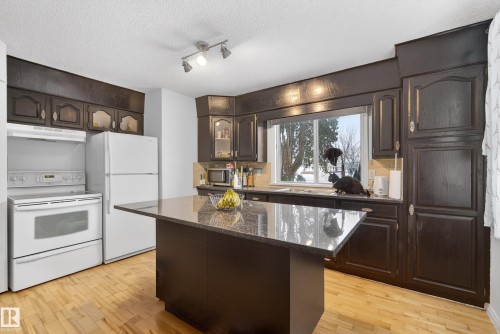 15321 110 Avenue, Edmonton, AB - Indoor Photo Showing Kitchen