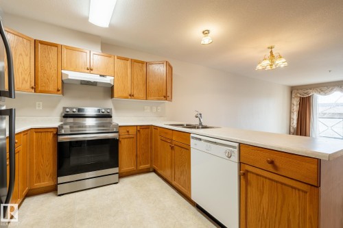 209 8912 156 Street, Edmonton, AB - Indoor Photo Showing Kitchen With Double Sink