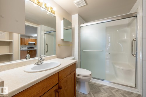 209 8912 156 Street, Edmonton, AB - Indoor Photo Showing Bathroom