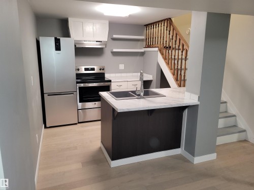 Basement Kitchen - 10832 163 Street, Edmonton, AB - Indoor Photo Showing Kitchen With Double Sink