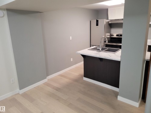 Basement Kitchen - Legal Suite - 10832 163 Street, Edmonton, AB - Indoor Photo Showing Kitchen With Double Sink