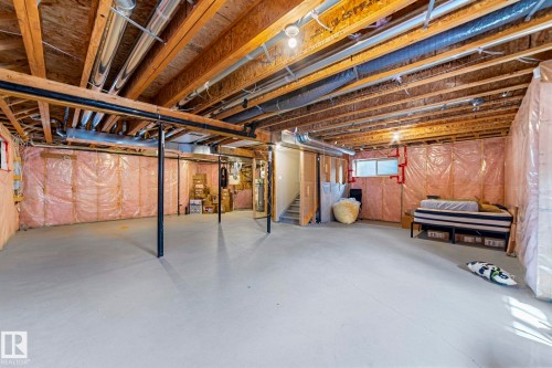 3695 Allan Drive, Edmonton, AB - Indoor Photo Showing Basement