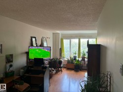 Living area with a large window, light-toned walls, and wood-finish flooring - 