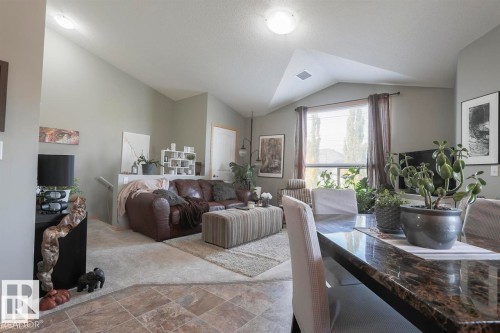 Living room featuring vaulted ceiling and stone finish floors - 86 604 62 Street, Edmonton, AB - Indoor Photo Showing Other Room