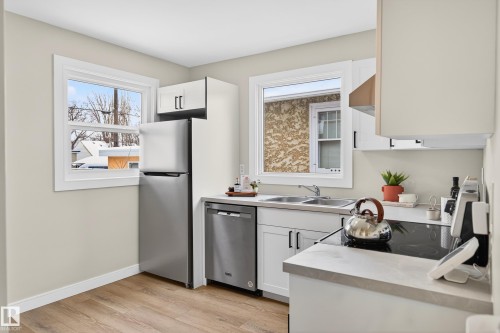 11330 67 Street, Edmonton, AB - Indoor Photo Showing Kitchen With Double Sink