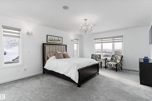 Bedroom with carpet, multiple windows, and hanging lights - 1242 Starling Drive, Edmonton, AB - Indoor Photo Showing Bedroom